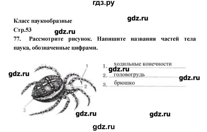 Колесов р. Биология 8 класс 56 стр. Гдз по биологии 8 класс рабочая тетрадь захаров. Гдз по биологии 8 класс драгомилов лабораторная работа номер 6. Биология 8 класс 56 страница.
