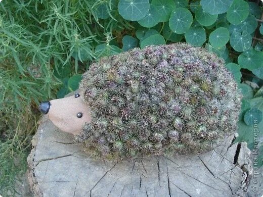 Из чего сделать ежика