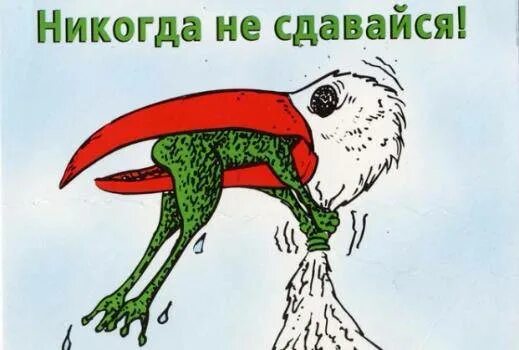 Никогда не умолкающего. Никогда не сдавайся лягушка и цапля. никогда не сдавайся аист и лягушка. никогда не сдавайся плакат с лягушкой. не сдавайся рисунок.