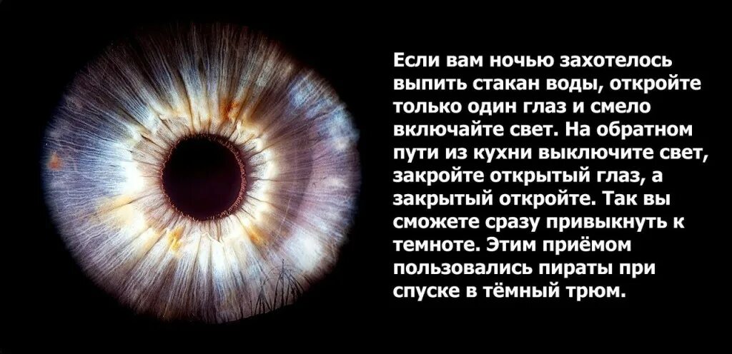 Все видно по глазам. Почему люди не видят в темноте. Почему человек видит в темноте. Глаза привыкли к темноте.