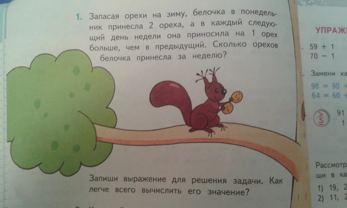 В понедельник белочка принесла 2 ореха. Задача про белочек. запасая на зиму грибы белка за один день. задачи для любознательных. математическое белочка решение задачи.