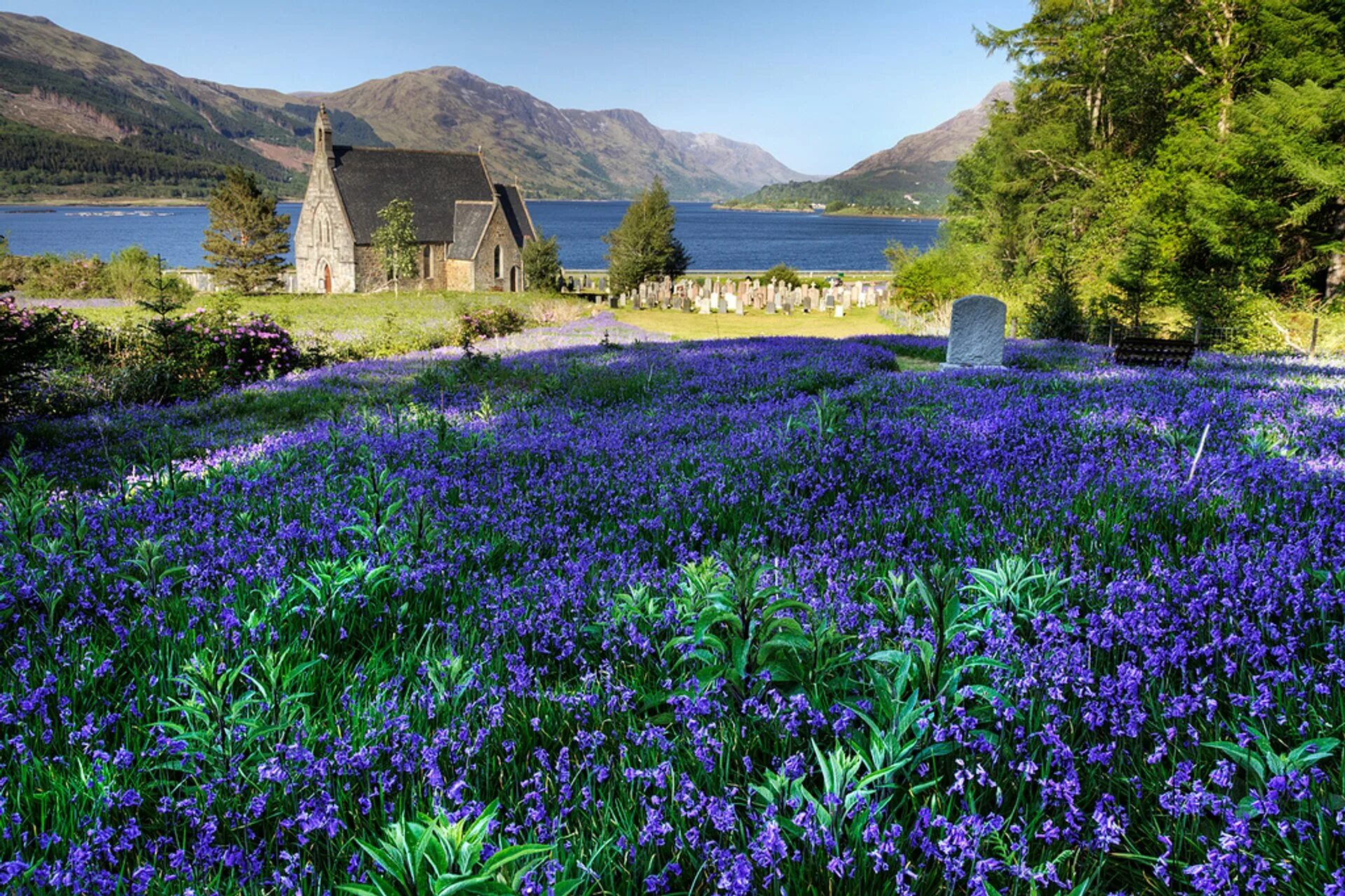 Scotland is beautiful. Moray Цветущая Шотландия. Баллачулиш Шотландия. Шотландия ландшафт.
