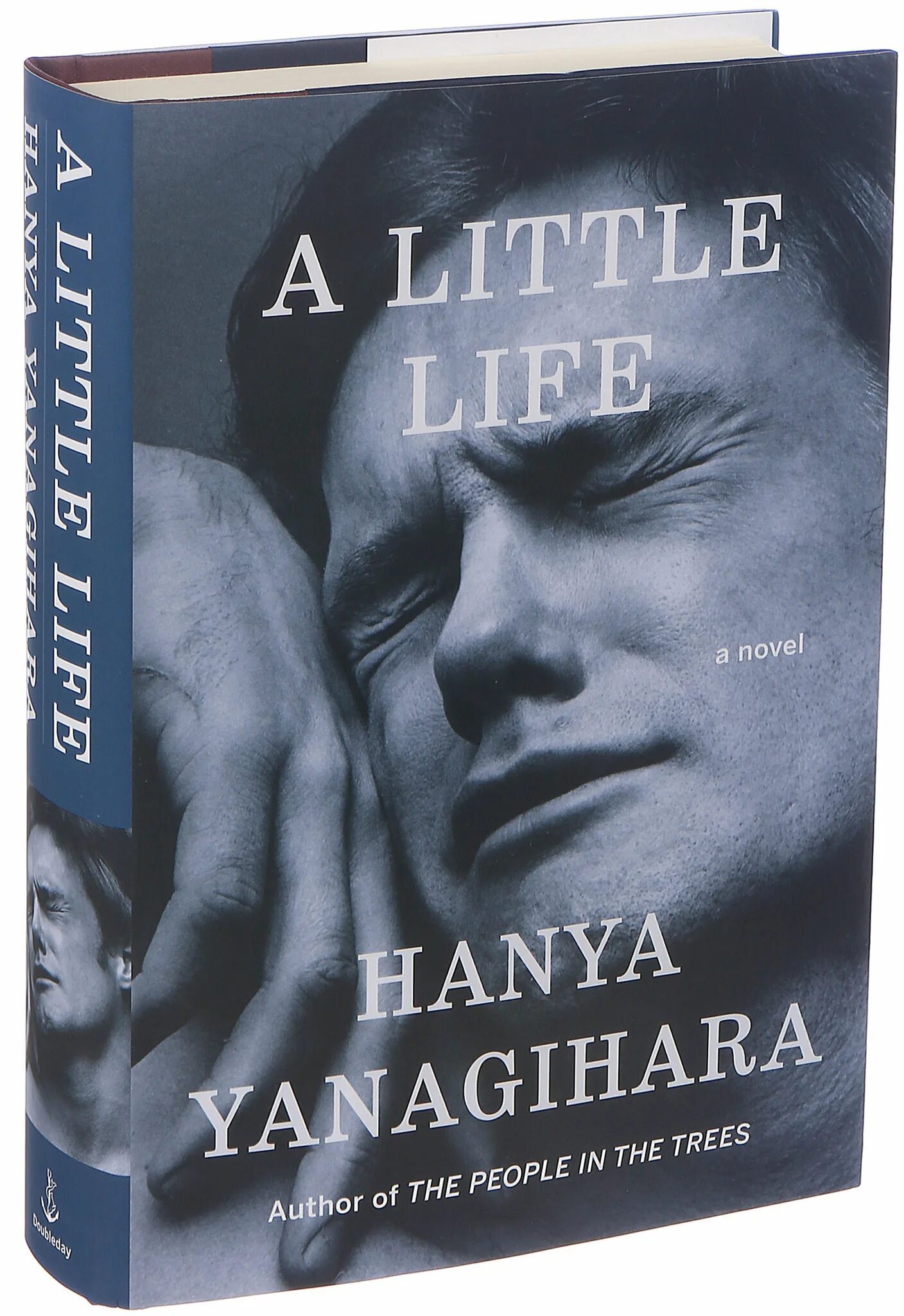 A little Life hanya Yanagihara. The little Life hanya Yanagihara обложка. A little Life Cover.