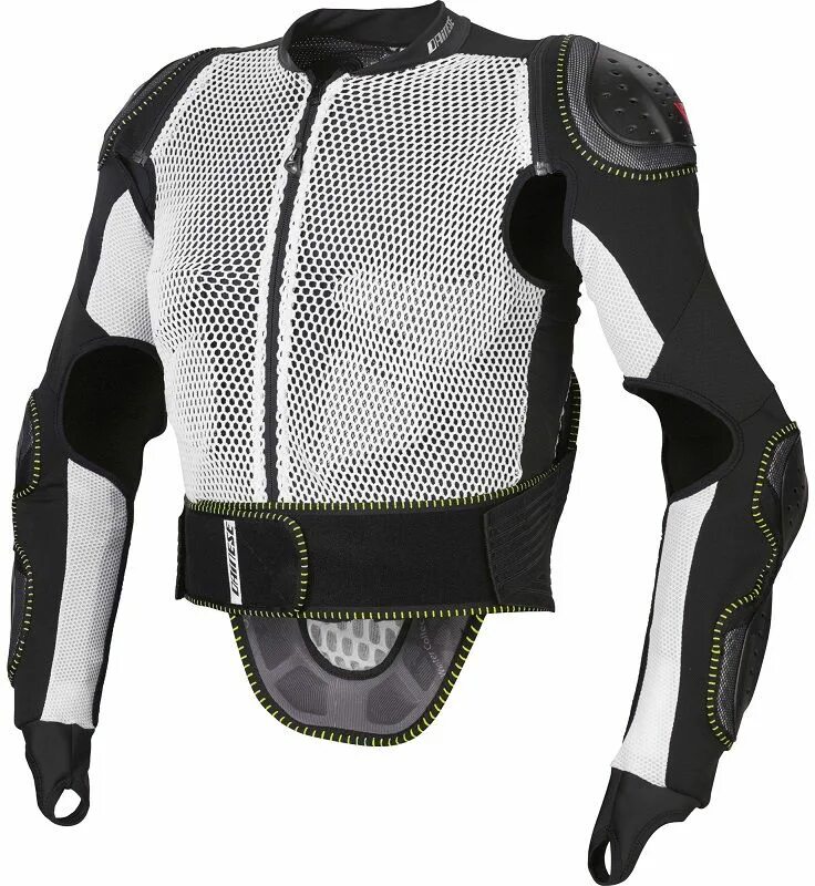 Защита для сноуборда купить. Защита Dainese Pro-Armor. Защита спины сноуборд Daines. Dainese Action Vest Pro. Черепаха Dainese.