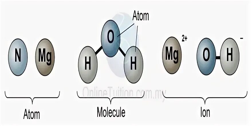 Установите соответствие атом молекула
