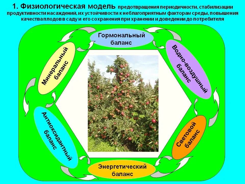 устойчивость к неблагоприятным факторам