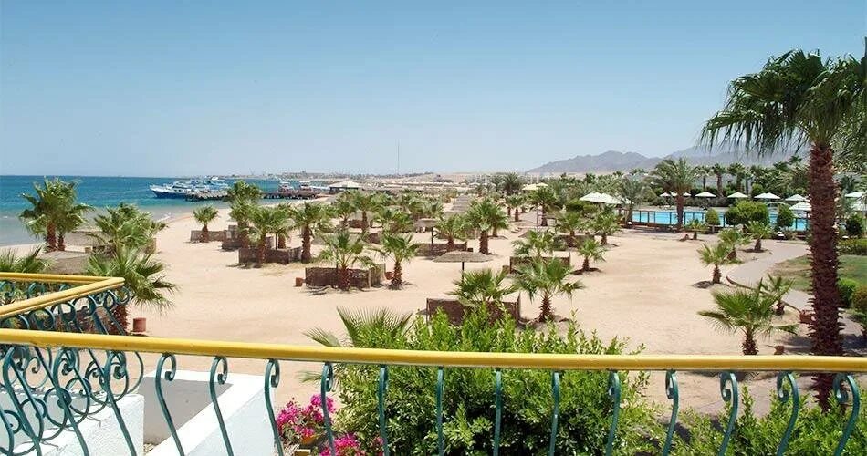 Лотус бэй 4 сафага. Lotus bay 4* сафага, 50 м до моря. Lotus bay хургада. Бур сафага египет. Lotus bay safaga 4.