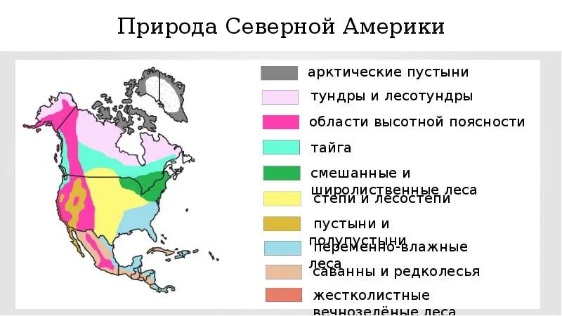 Северная америка занимает климатический пояс. Карта природных зон Северной Америки. Тундра в Северной Америке на карте. Природные зоны Северной Америки арктические пустыни. Арктическая пустыня Северной Америки на карте.