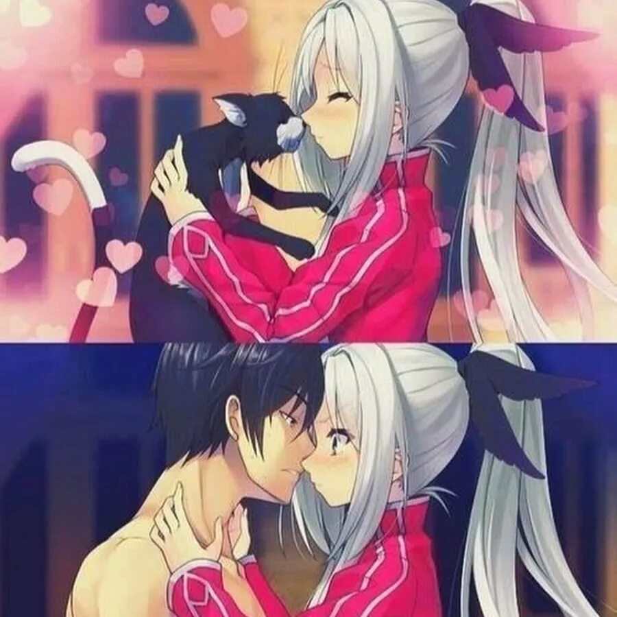 Чара хранители икуто. Кот превратился в парня. Кот превратился в парня. Кот превратился в парня. Парень с котом.