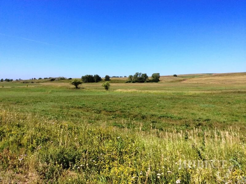 земли сельхозназначения россии. участок в поле. сельхоз поля рязанской области. заросший участок. земельный участок.