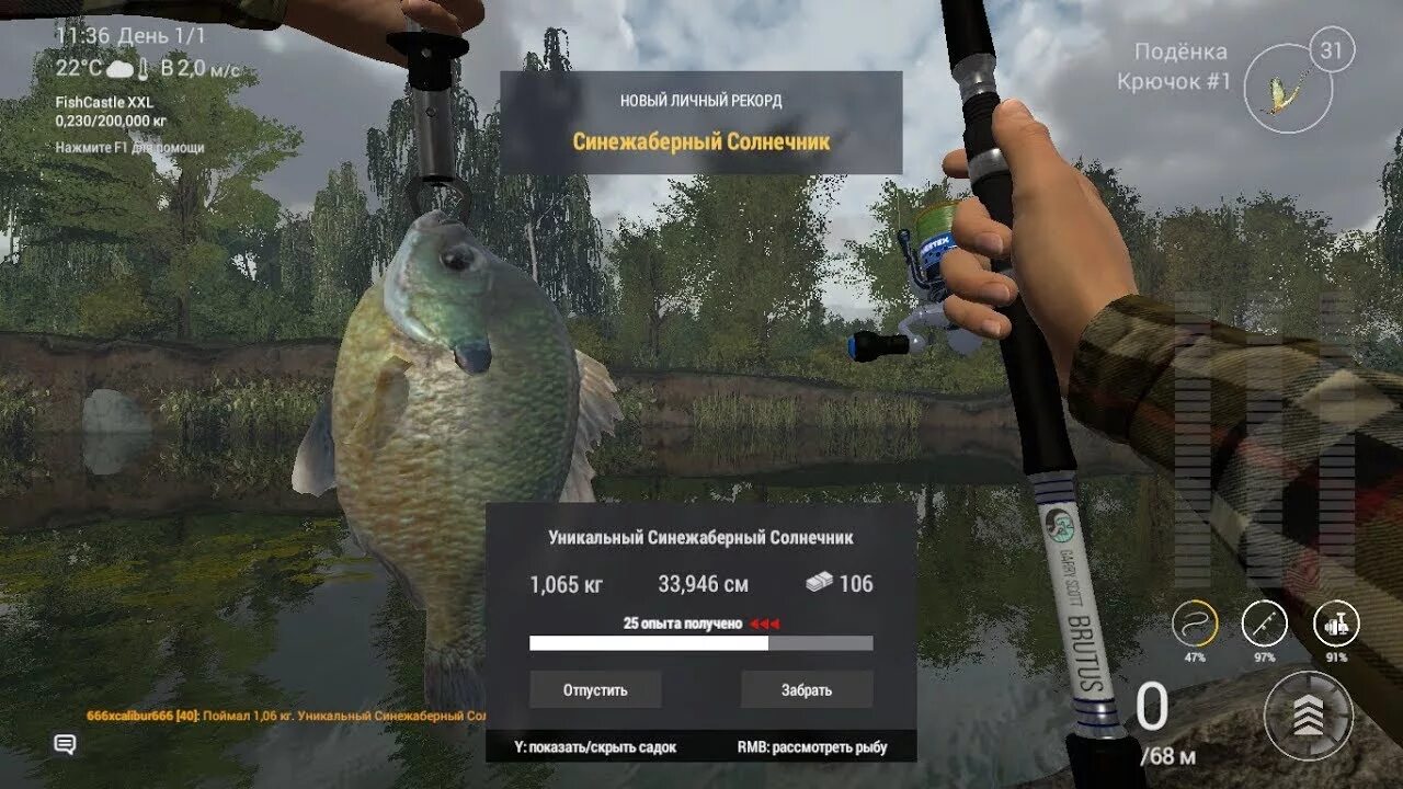 Fishing planet мадвотер. Зелёный солнечник Fishing Planet Лоун Стар. Красноухий солнечник Fishing Planet. Fishing Planet Синежаберный солнечник. Река Мадвотер Fishing Planet.