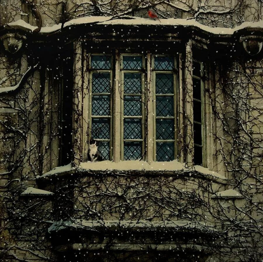 В замках были окна. Старинные окна. Окно в замке. Средневековое окно. Окно в старинном замке.