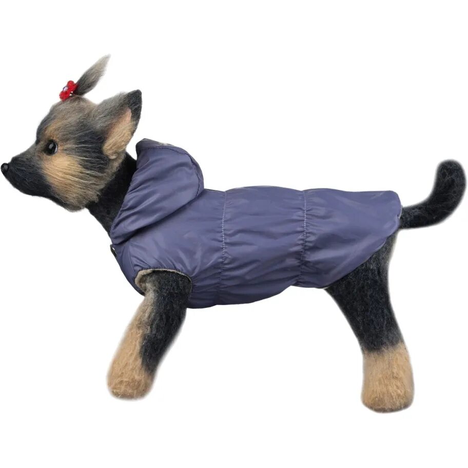 Лучшая одежда для собак. Куртка догмода зимняя. куртка аляска dogmoda одежда для собак. собака в куртке. dogmoda одежда для собак.