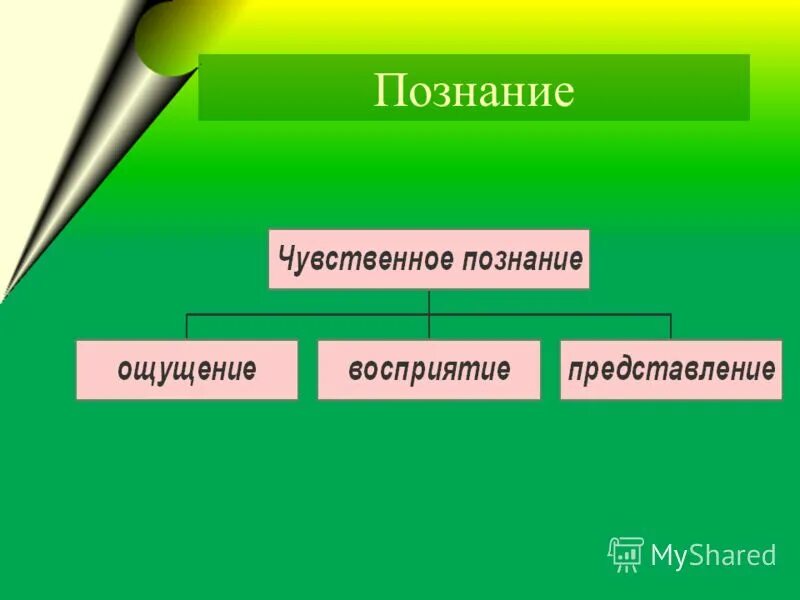 Уровни чувственного познания ощущение восприятие представление. Уровни чувственного познания ощущение восприятие представление
