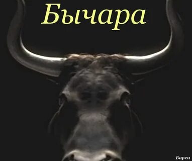 Леха бык