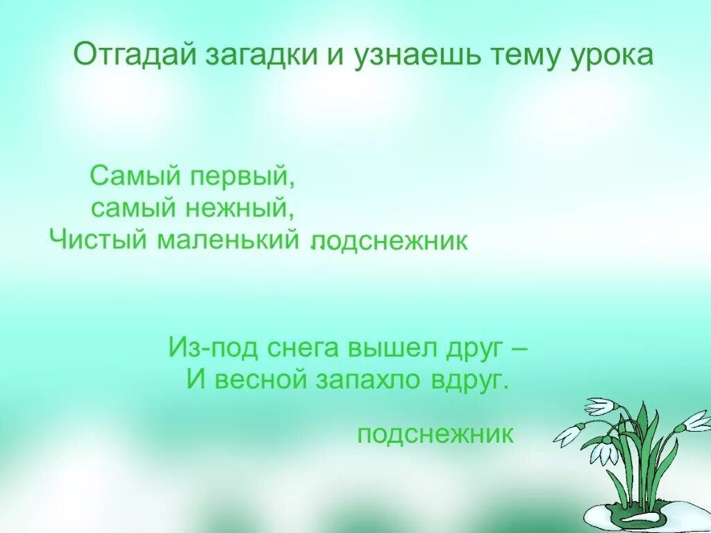 Загадка на тему Подснежник. Загадка про Подснежник. Загадки про весну. Загадки про весну про Подснежник. Загадка про подснежник 2 класс