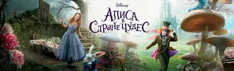 Настоящая страна чудес
