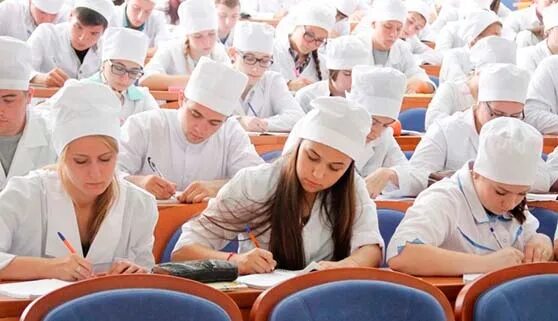 Ветеринар учиться после 9 класса. Ветеринар обучение после 9 класса. круглый стол по ветеринарии в образовании. высшее образование по специальность &quot;ветеринария&quot;. сколько учиться на ветеринара после 9 класса.