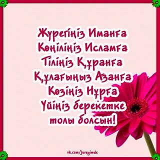 Аққұба фотостудияда фотографпен жыныстық қатынасқа түседі