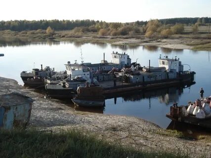 Типичная ветлуга