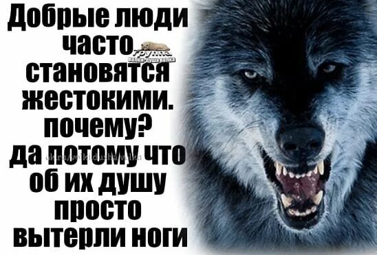 Почему добрые становятся жестокими. Люди становятся жестокими. добрые люди становятся жестокими. об мою доброту вытирают ноги. добрые люди становятся жестокими потому.