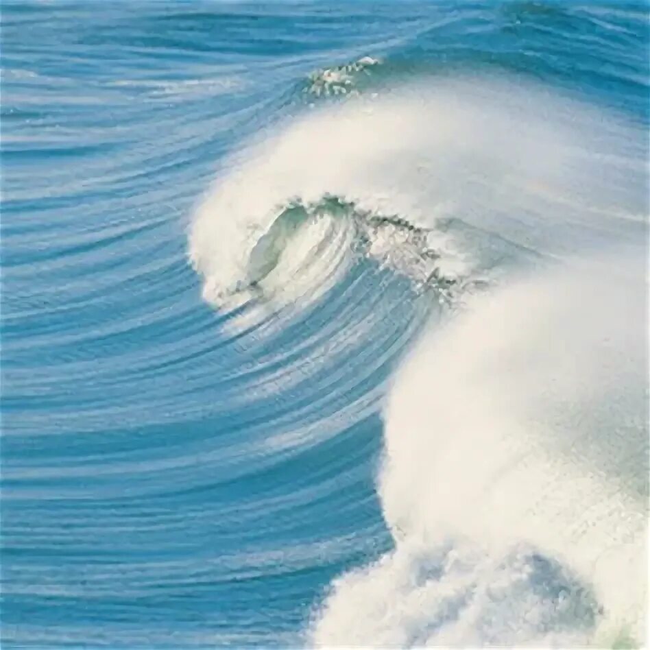 Волны и капли. Пенистая волна букв сканворды. Пена на берегу реки. Пенистая волна букв сканворды. Пенистая волна букв сканворды.