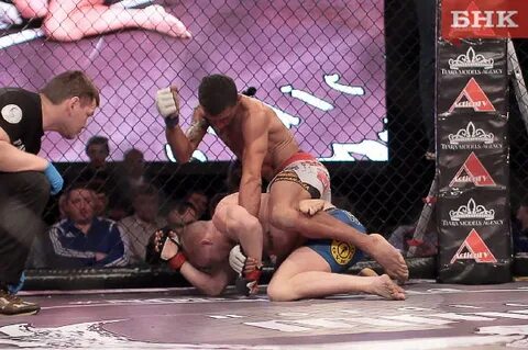 Fight открыт открытый мир