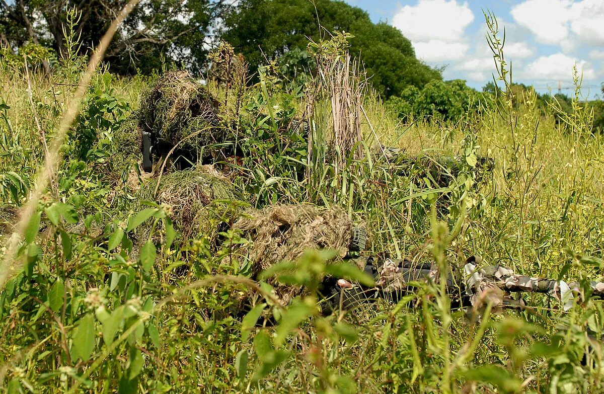 Súbor:Snipers Compete in Sniper Stalking Event Image 5 of 6.jpg - Wikipédia