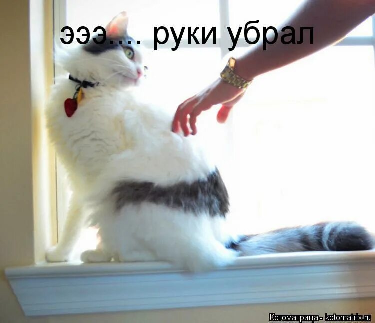 Просто убери руки