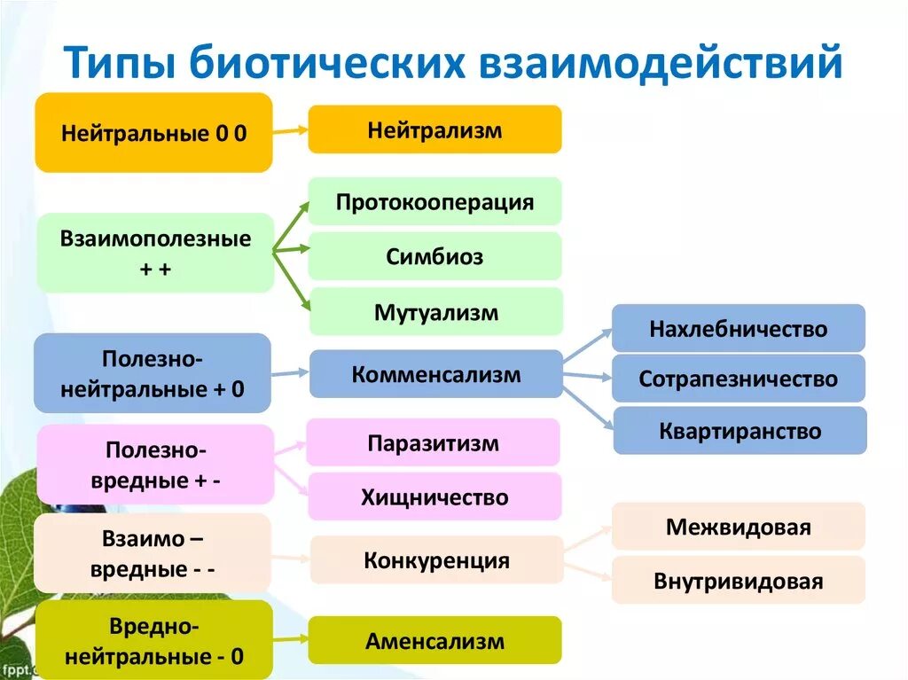 Основные типы взаимодействия видов. Типы взаимодействия между живыми организмами схема. Типы взаимоотношений организмов схема. Виды взаимоотношений между организмами схема. Формы взаимоотношений между организмами схема.