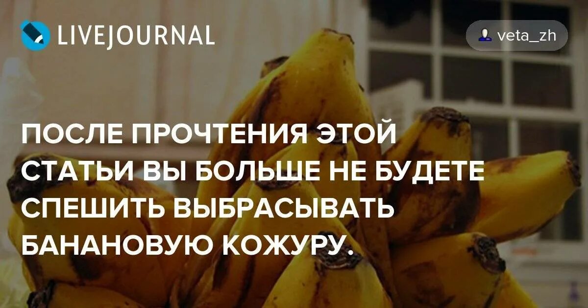 Можно курицам банановую кожуру. Бананы курам можно. курица с бананами. не спешите выбрасывать банановую кожуру. можно ли курам банановую кожуру.