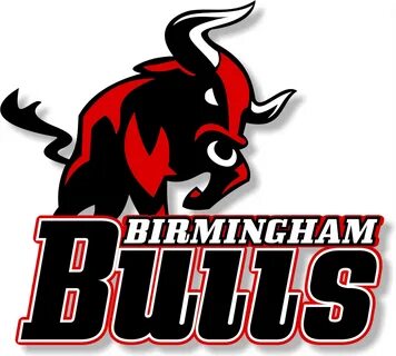 Bull's