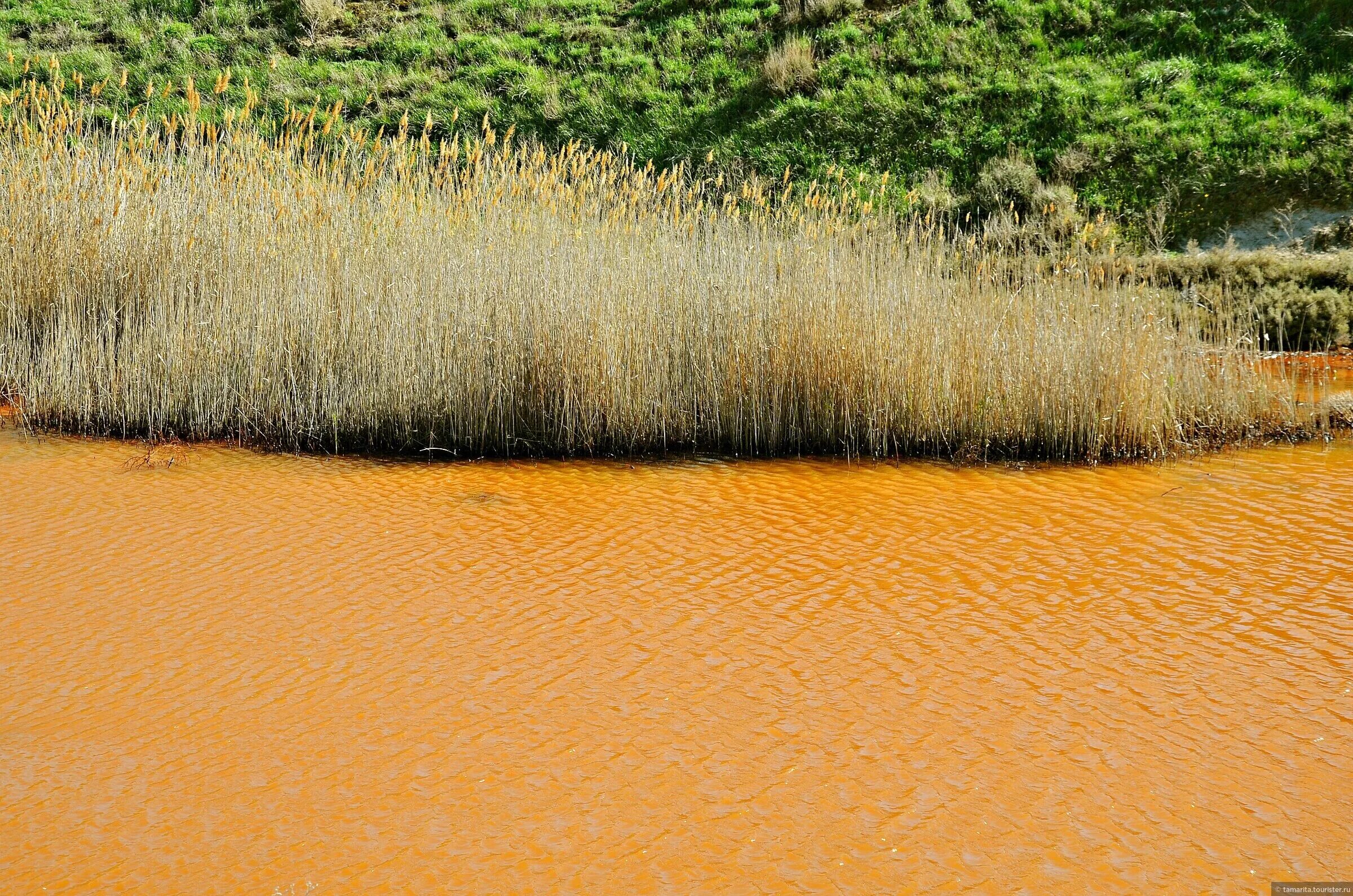Речная соль. Красное солевое река. Река с соленой водой. Рыжая у реки. Поле рыжее в речкой.