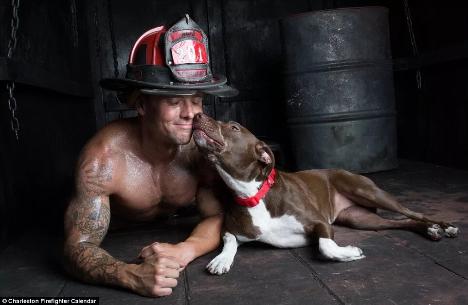 Shirtless firefighters pose with puppies for 2015 charity calendar Daily Mail On
