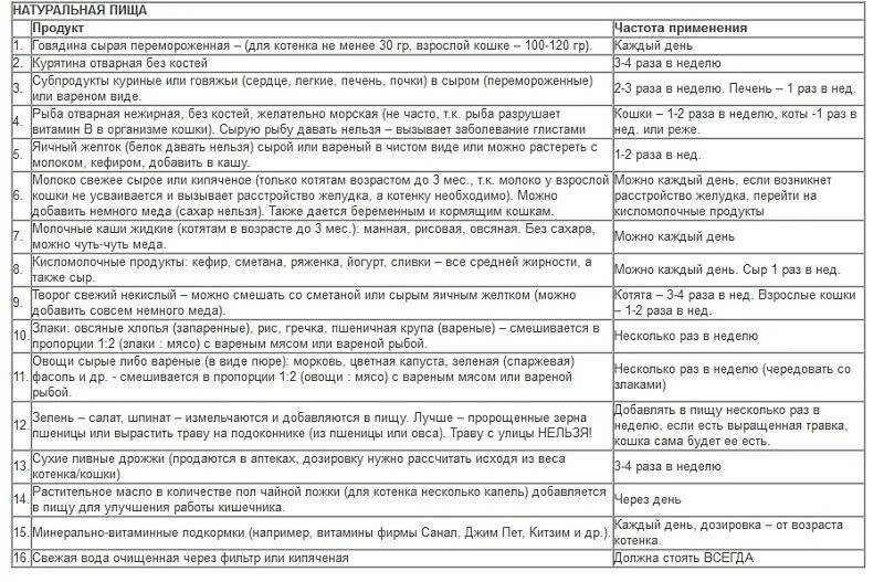 Котенку месяц чем кормить без матери. Кормить котенка в 1.5 месяца. Рацион питания 2 месячного котенка. Рацион питания котенку 1.5 месяца британец. Рацион питания для котенка 5 месяцев.