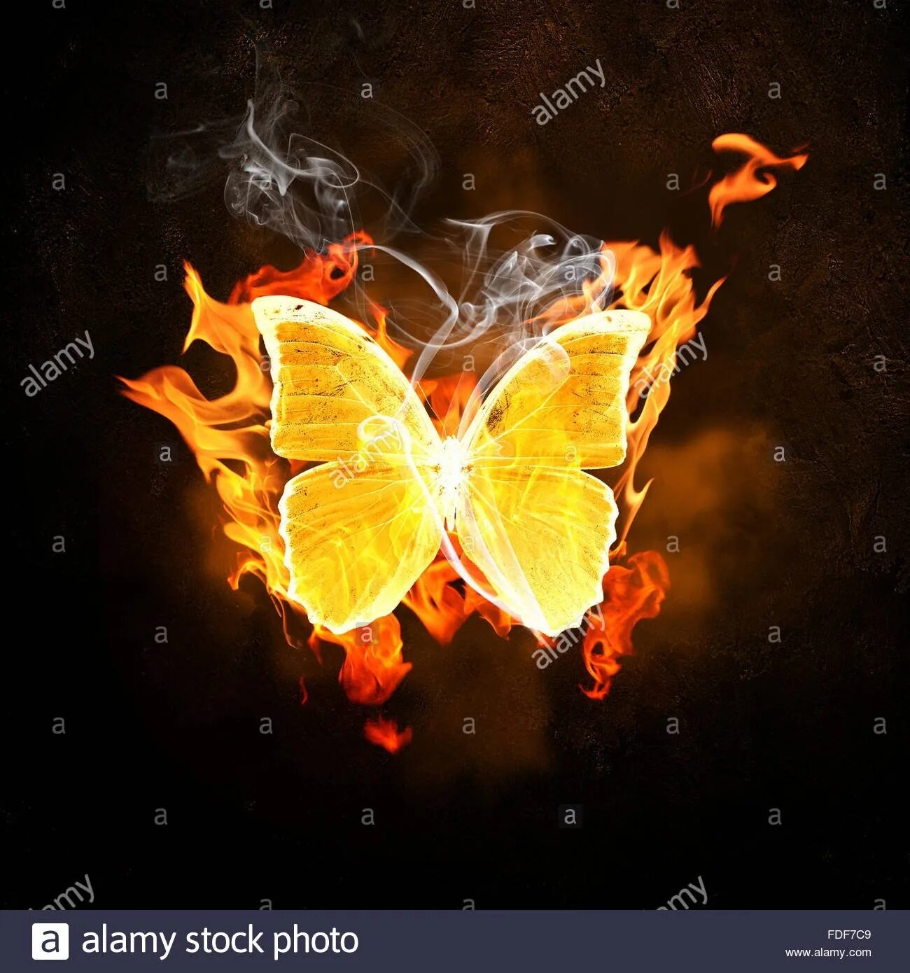 мотылек и свеча. бабочки летают. огненная бабочка. мотылек летит на огонь. мотылек и огонь.