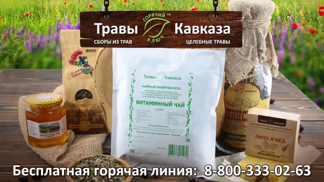 Репешок чай. Архызский горный чай. Кавказский горный чай. Лекарственные травы кавказа. Горные травы кавказа для чая.