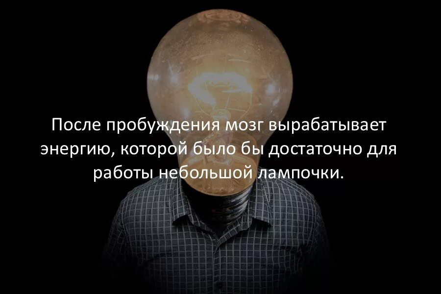 Невероятные факты в которые отказываешься. Интересные факты. интересные научные факты. интересные научные факты в картинках. фанты самые интересные.