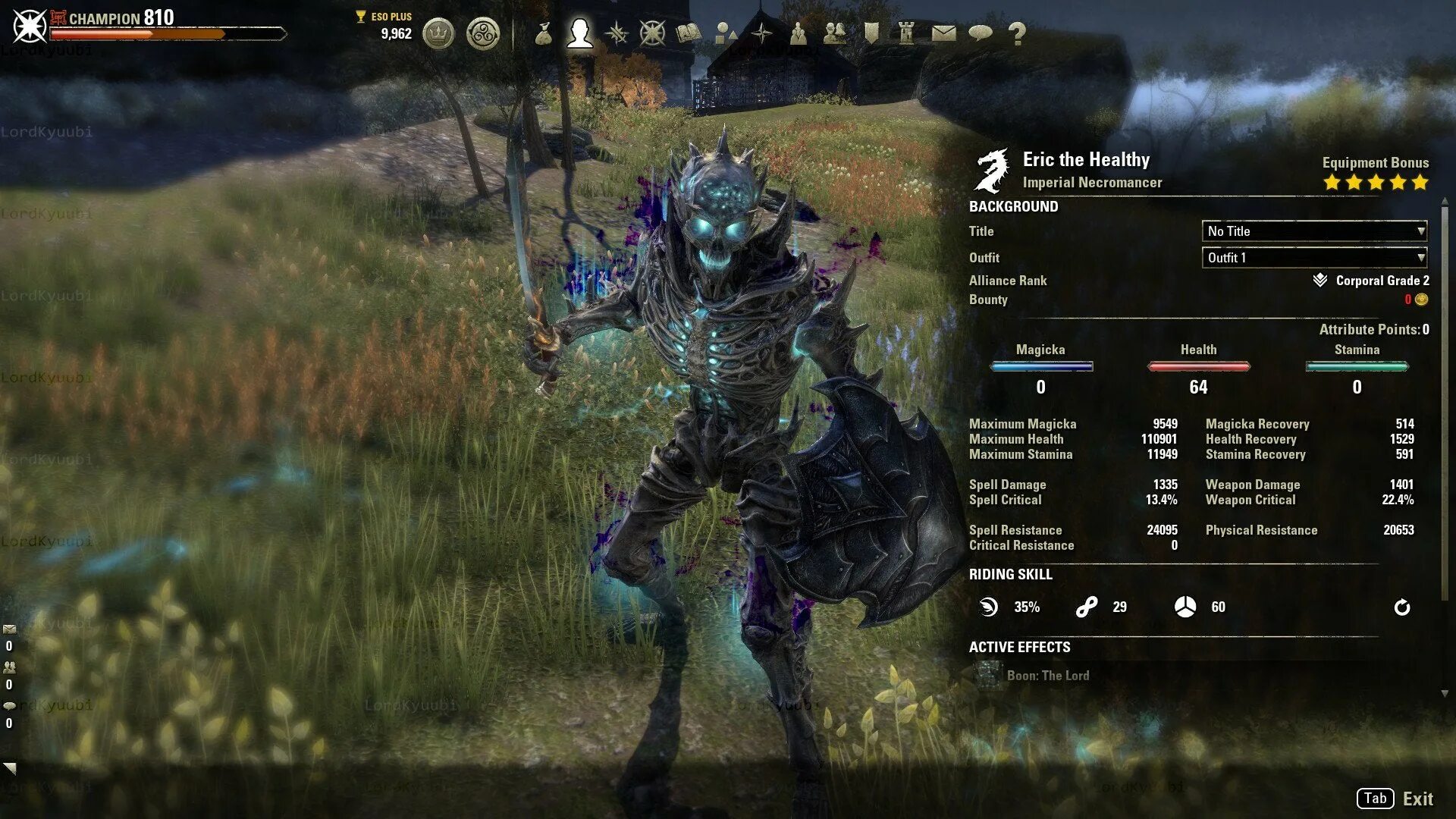 Elder scrolls билды. Eso некромант. teso некромант. the elder scrolls online некромант. the elder scrolls online некромант костюм.