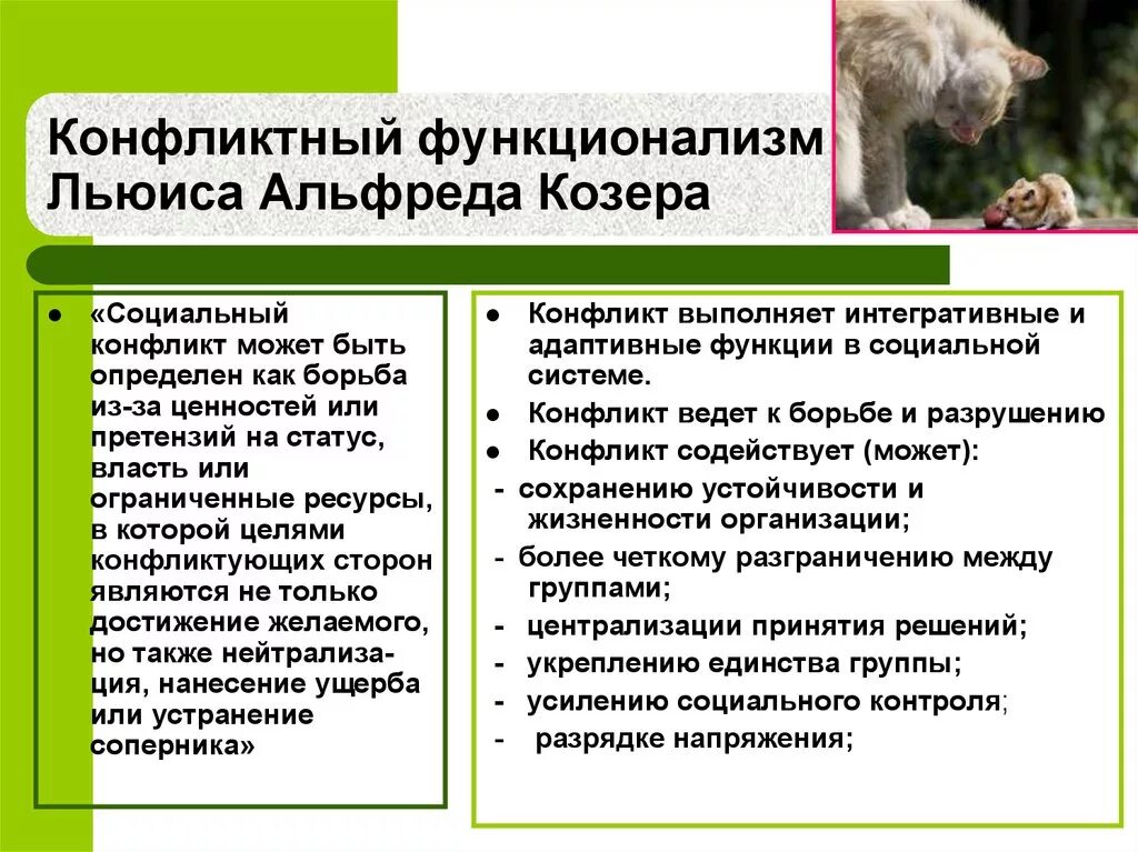 Козер функции. Конфликтный функционализм льюиса козера. козер социальный конфликт. функции социального конфликта. функции конфликта по козеру.