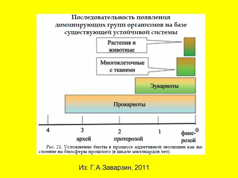 Последовательность появления рекламы. Последовательность появления организмов. Последовательность появляется в. Последовательность появления эмуляторов. Запишите цифрами последовательность появления групп растений