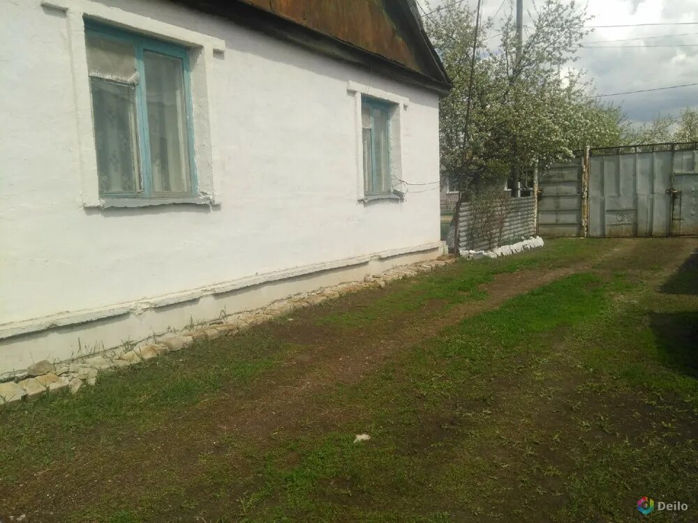 Погода большедорожном в северном районе оренбургской. Погода большедорожном в северном районе оренбургской. Погода большедорожном в северном районе оренбургской. Большедорожное новосибирская область. Большедорожное.