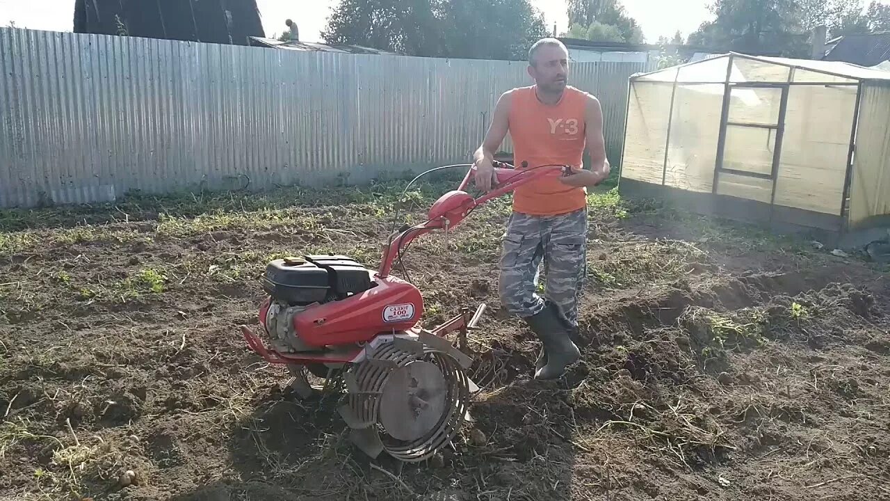 Как копать картошку мотоблоком видео. Копка картофеля мотоблоком салют 100. картофелекопалка на мотоблок салют. копка картофеля культиватором тарпан. мотоблок агат копаем картошку.