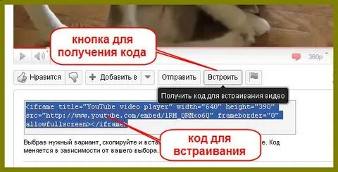 С недавних пор
