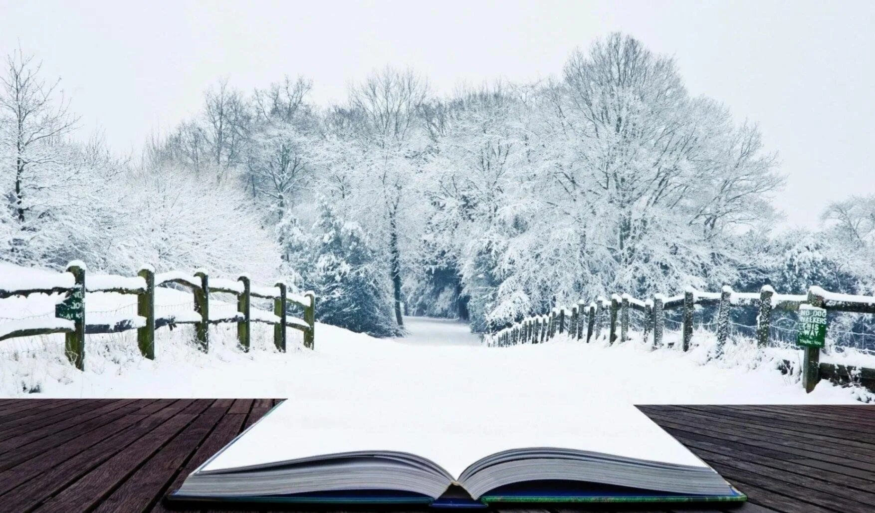 Зима. Книга на зимнем фоне. Книги winter. Чтение зимой. Книжная зимняя эстетика.