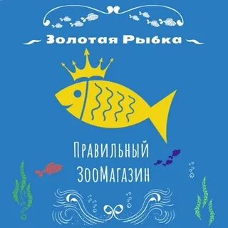 Золотая рыбка ленинградская