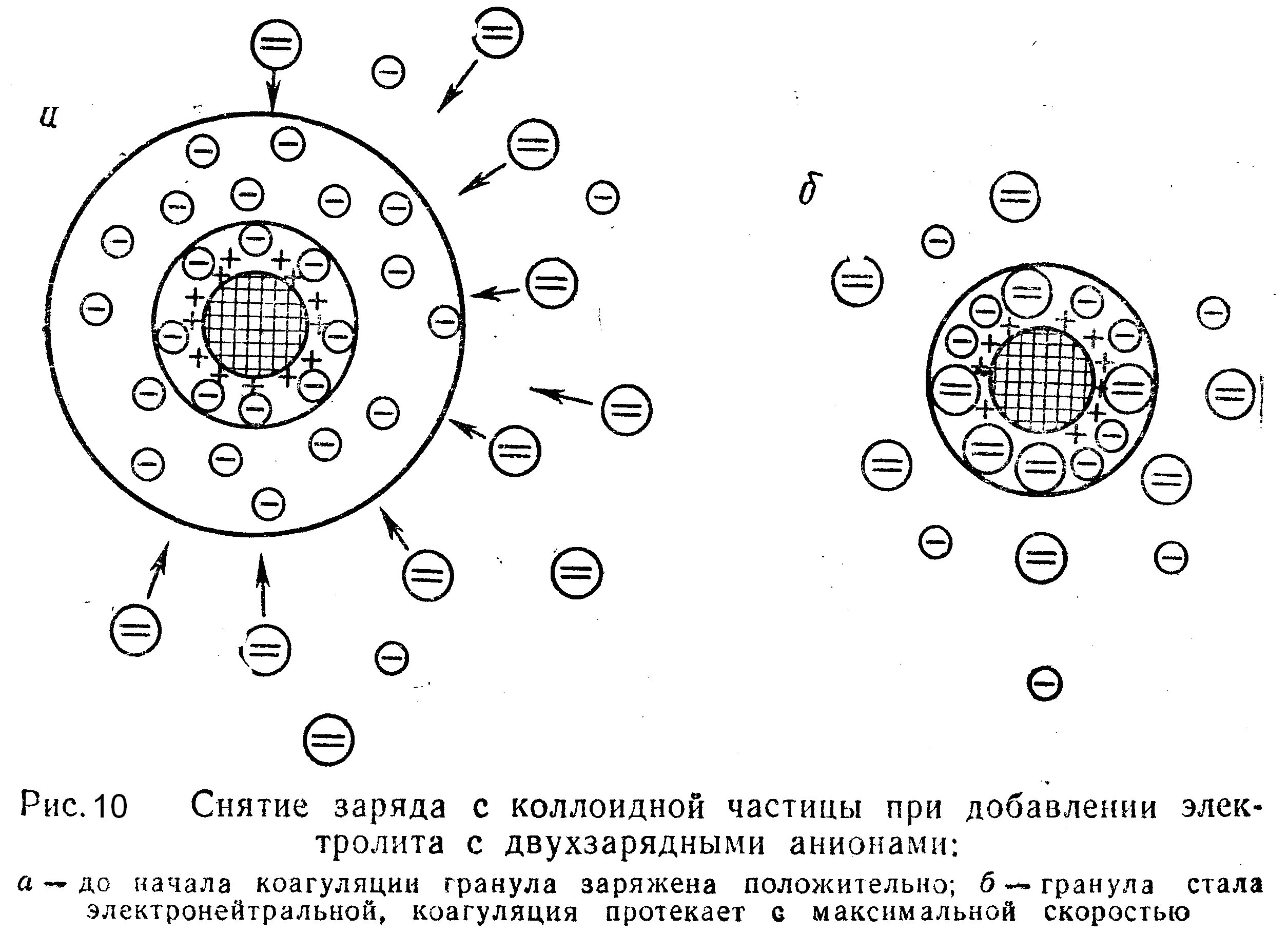 Заряд коллоидных частиц. ДЭС коллоидной частицы. Строение и заряд коллоидных частиц. Снятие заряда. Опишите механизм «коллоидной защиты».