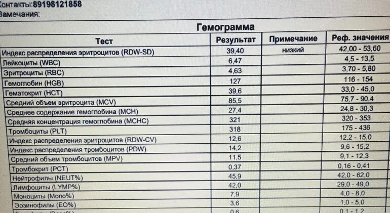 Показатели крови RDW-SD. RDW-SD В анализе норма. Индекс распределения эритроцитов норма. Норма RDW-SD В крови у женщин.