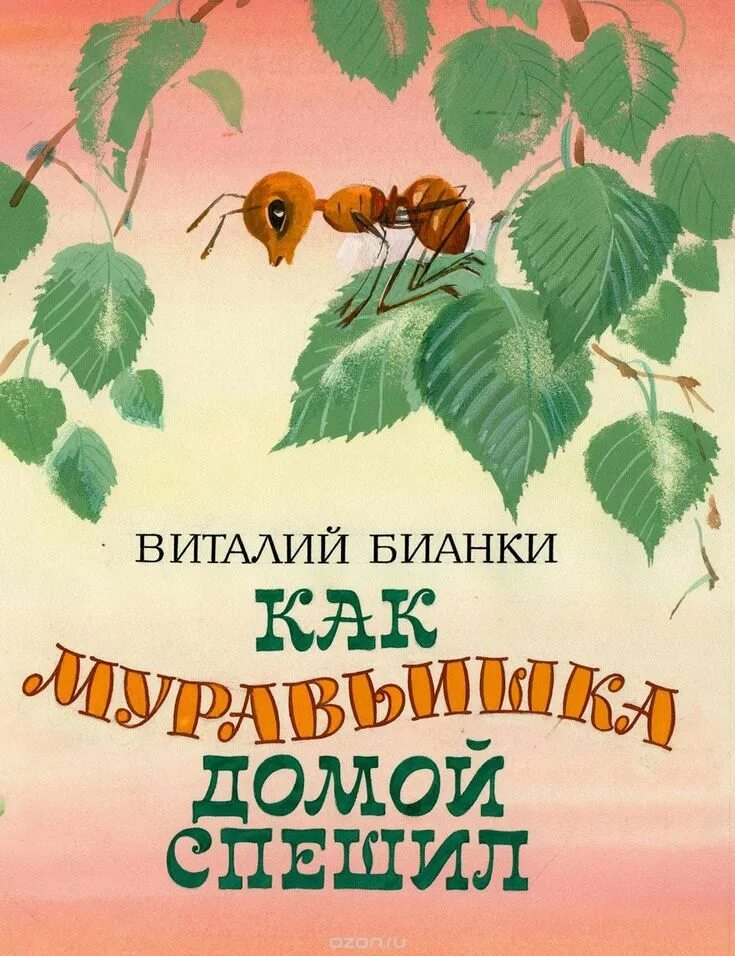 Как домой спешил сказка виталия. Бианки в. в. "как муравьишка домой спешил". Виталий Бианки "как муравьишко домой спешил". Муравьишка книга Бианки. Сказка муравьишка домой спешил книга.