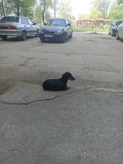 Новости новокуйбышевска подслушано